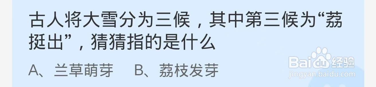 大雪分为三候其中荔挺出指的是什么？蚂蚁庄园