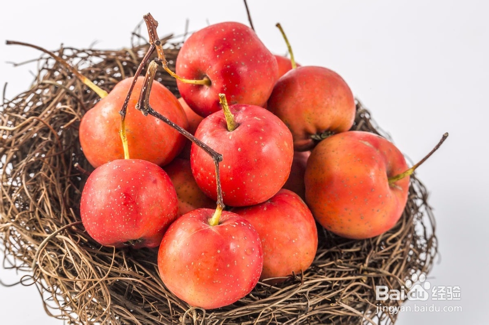 山楂的药用价值