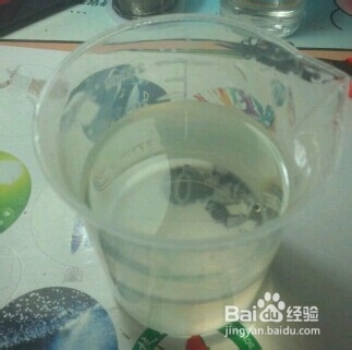 宇宙繁星虚空尽在一碗中-变形金刚的回家路