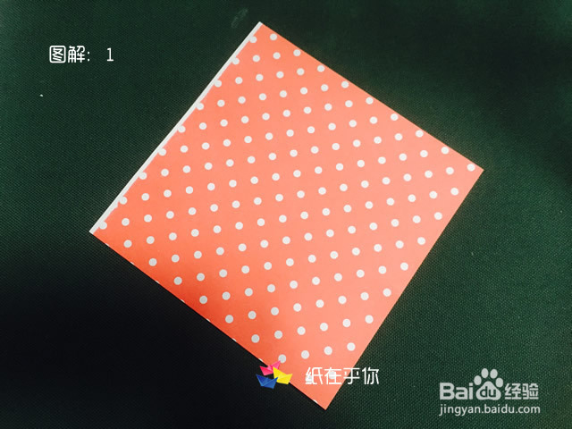 手工折纸：蝴蝶结 纸在乎你