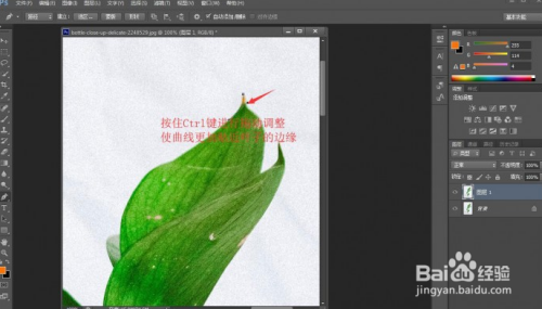 ps实用小技巧：快速抠出植物