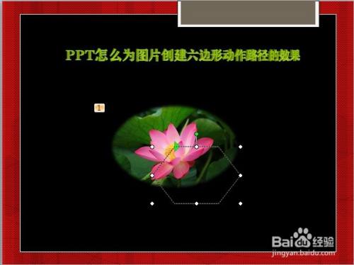 PPT怎么为图片创建六边形动作路径的效果