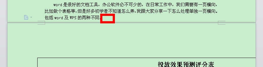 word单独一页横向