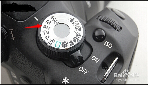 如何拍出背景虚化的特写照片