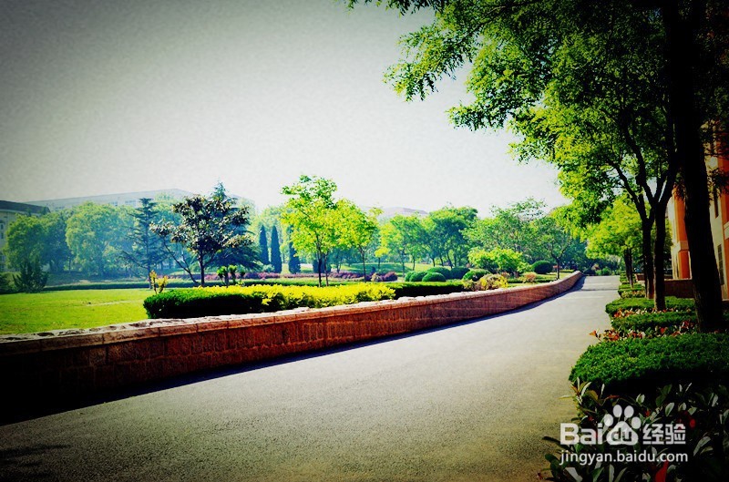 大一新生怎么从青岛长途汽车站到青岛大学报道