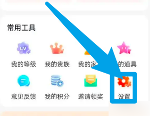 怎么停用乡遇的语音速配功能