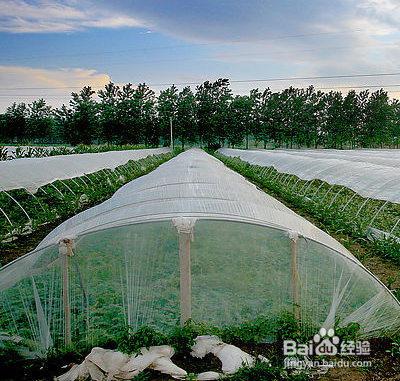 农业用地如何使用