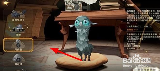 哈利波特魔法觉醒新春灯谜答案是什么