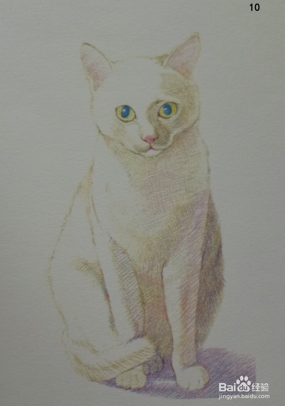 色铅笔画浅黄色小猫咪(素描进阶)
