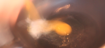 鲜虾料理制作步骤