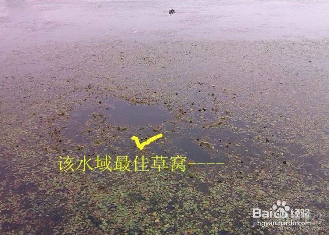 夏季钓鱼,六种钓位不容放过