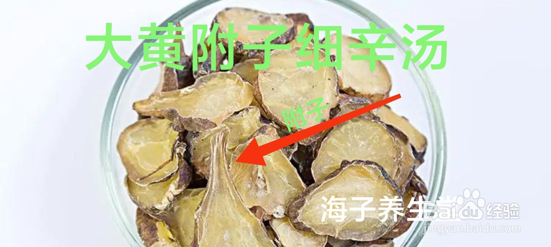 大黄附子细辛汤