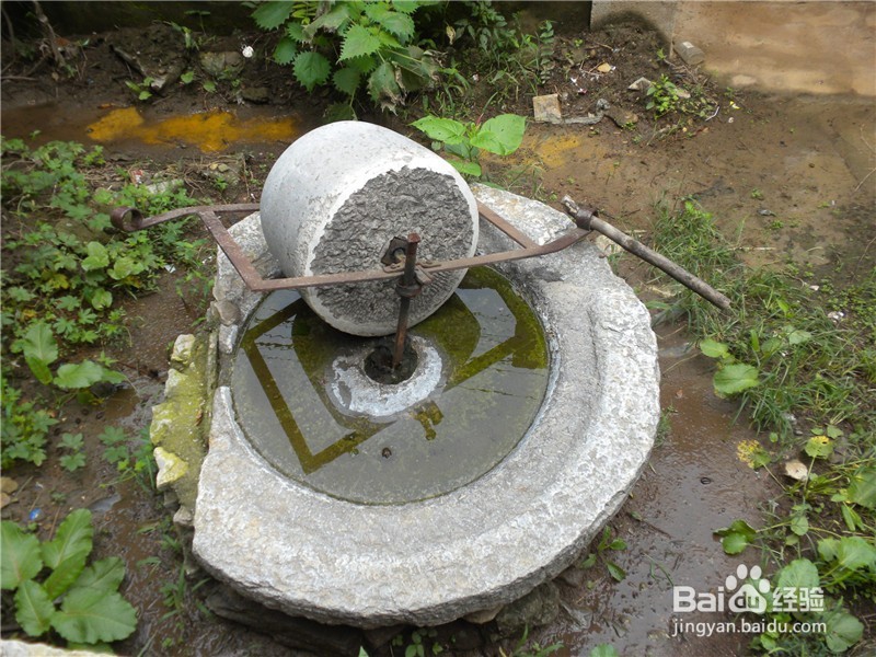 山东到哪儿去爬山？（一）