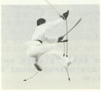 赵堡太极双刀之双刀屠龙图解