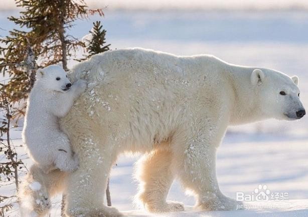#过年#高血压病人别被忽悠了