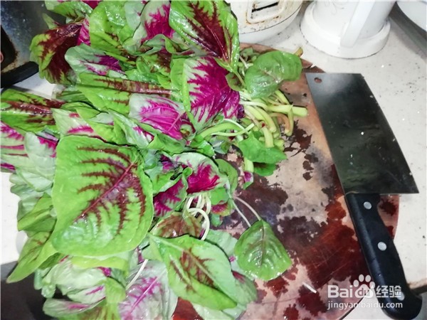 怎么做简单的家常菜炒苋菜