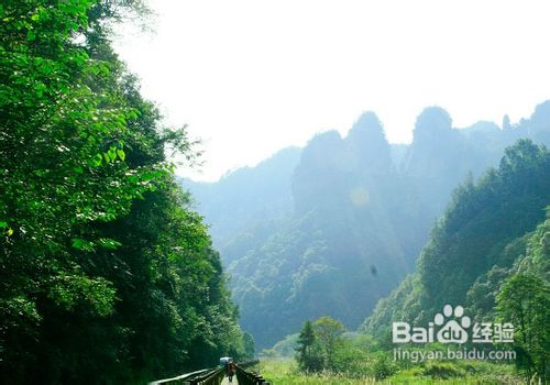 张家界必去景点的介绍及图片
