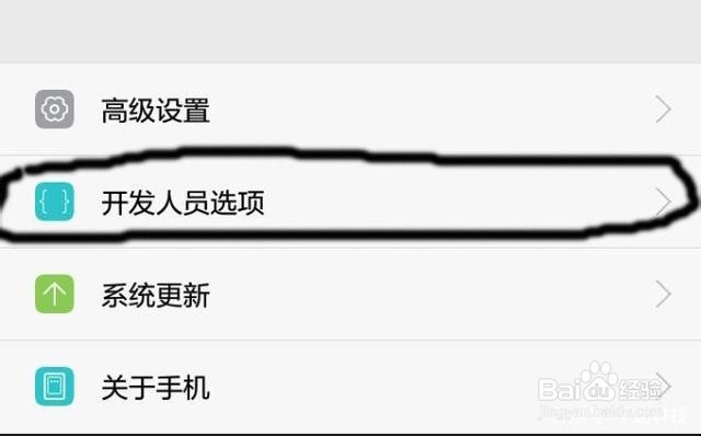 手机如何找到开发者模式
