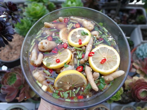 冰镇酸辣爽口柠檬鸡爪
