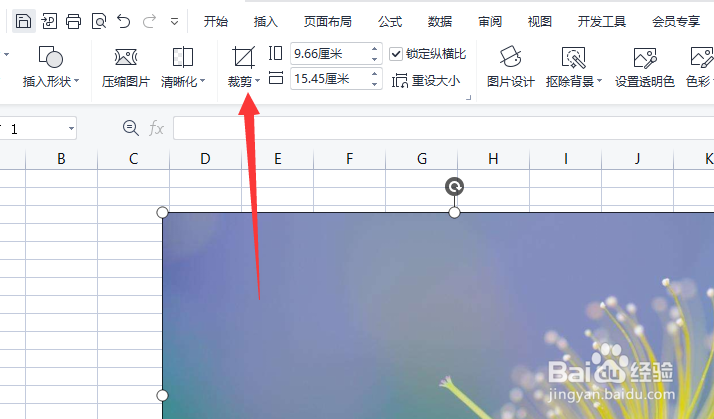 WPS表格中怎么裁剪图片