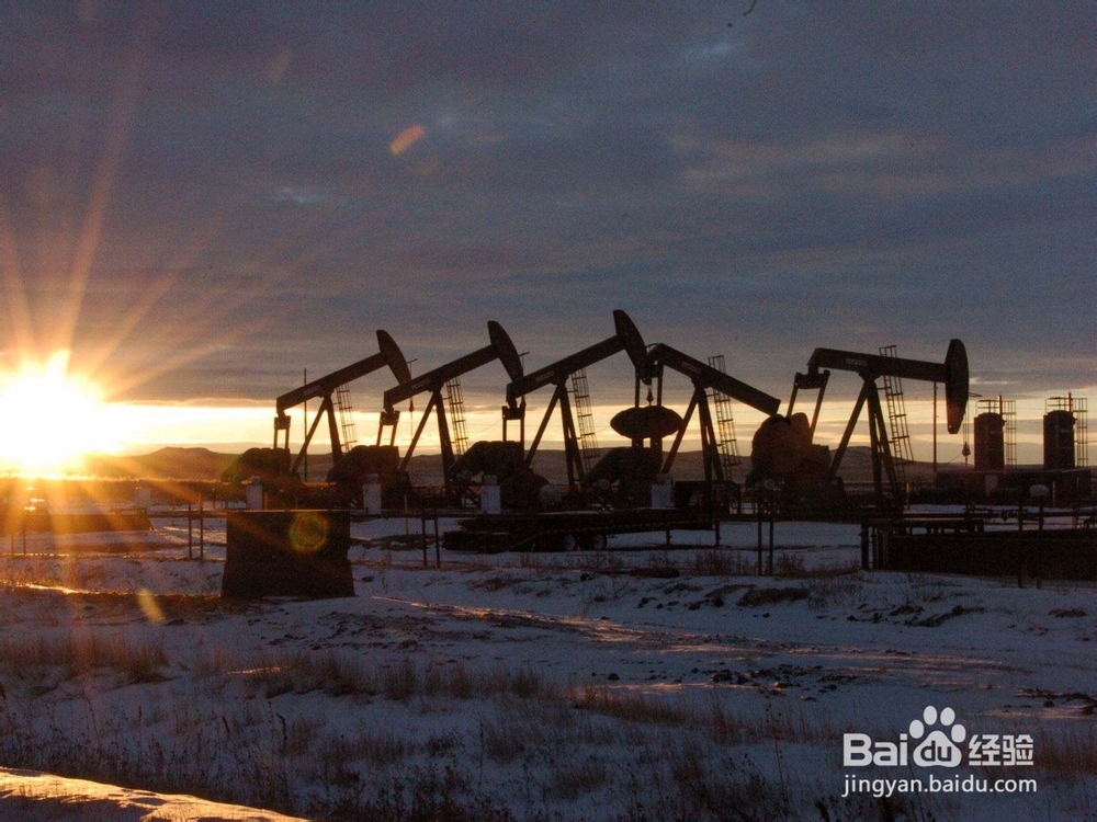 应当掌握原油期货的技巧