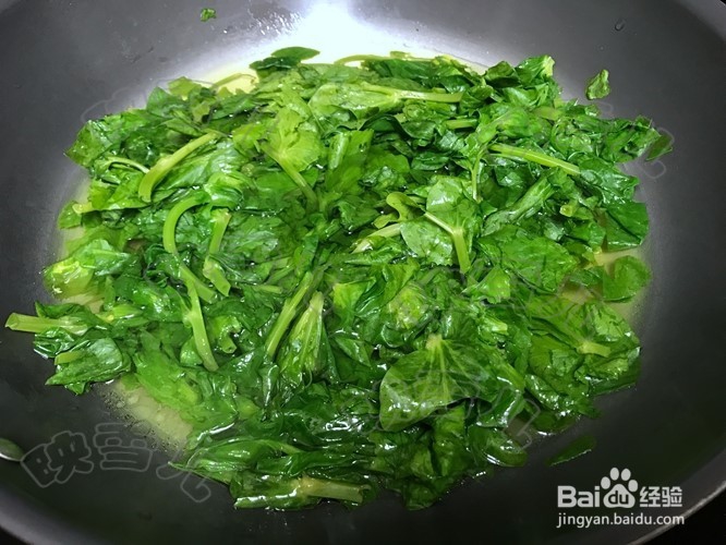 怎么煮蒜蓉炒豆苗