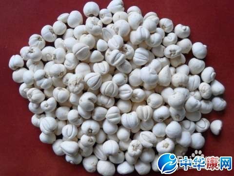 自己做止咳化痰生津益气的川贝雪梨冰糖银耳膏