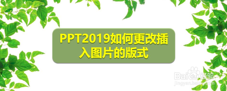 <b>PPT2019如何更改插入图片的版式</b>