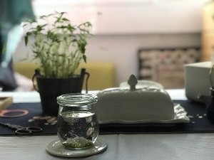 手把手教你制作绿豆盆栽
