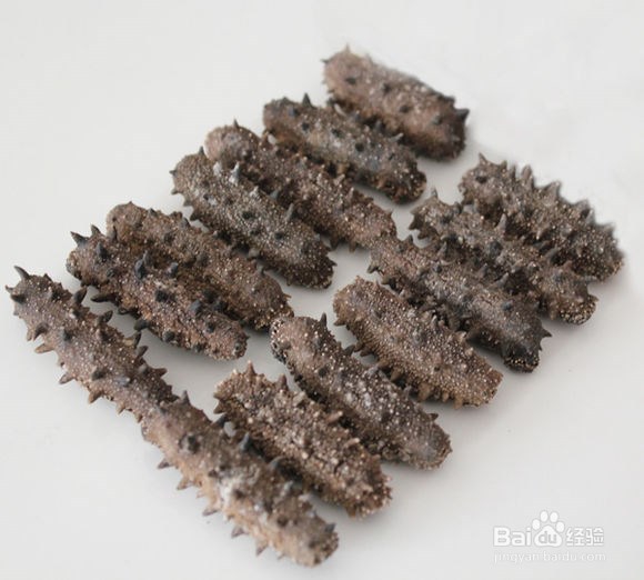 购买海参时，怎么区分干海参的好坏