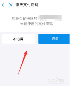 支付宝怎么修改支付密码