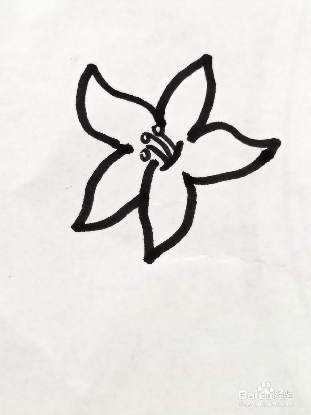 怎样画百合花