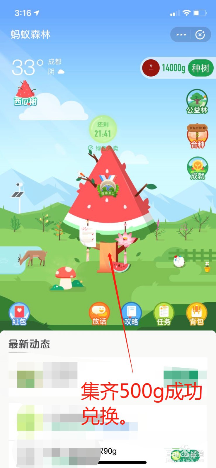 支付宝蚂蚁森林能量树的西瓜装扮怎么获得