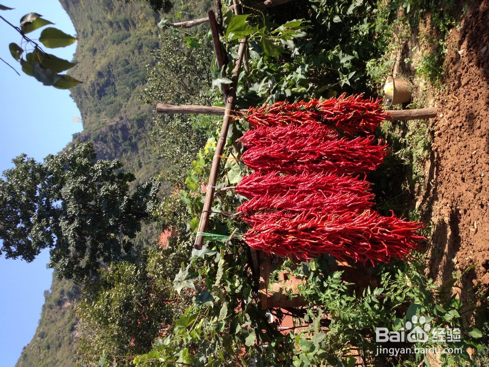 三门峡桃花谷,自驾游有你好看!