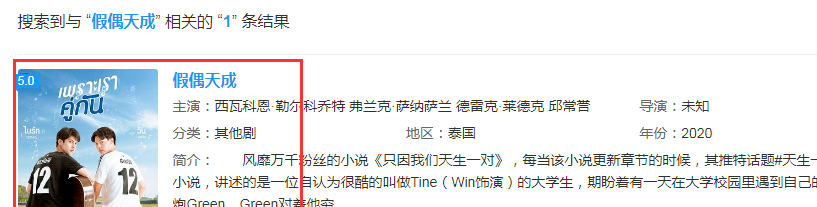 假偶天成泰剧在线观看全集高清百度云网盘