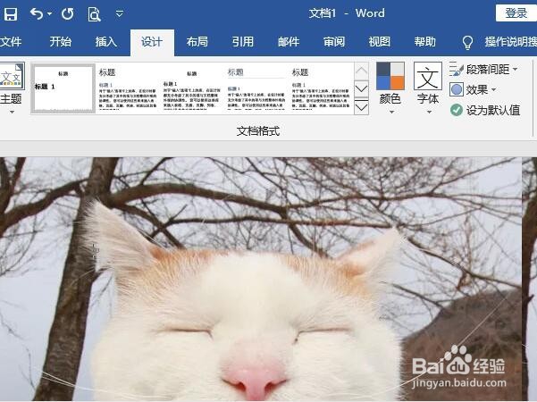 Word如何设置背景图片?
