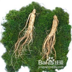 吃人参，可以这么简单