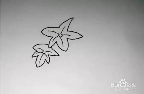 丝瓜的简笔画怎么画