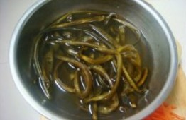 凉拌南极海茸丝