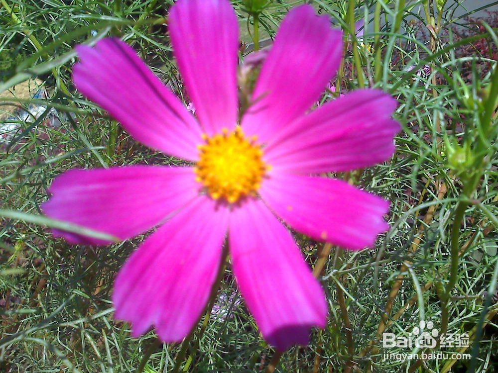 读书的好处---13