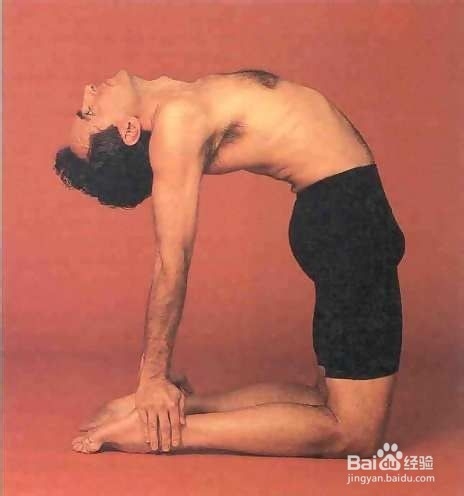 治疗不同疾病的瑜伽体式-背痛(下)