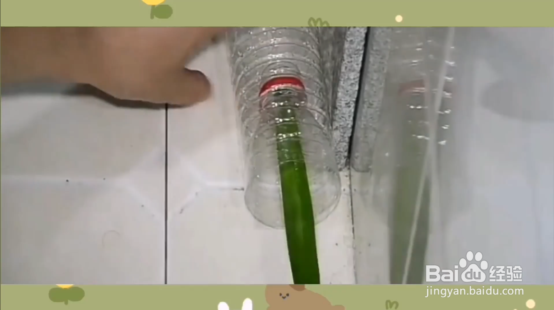 如何去除蟑螂？