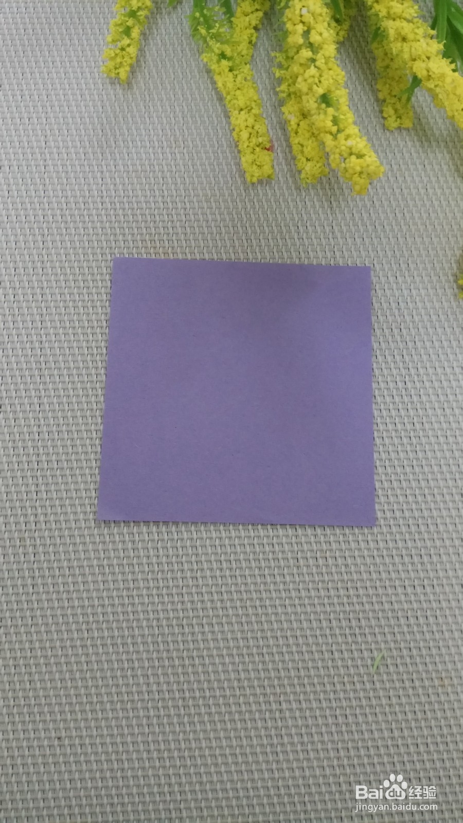 儿童剪纸银杏叶的剪法