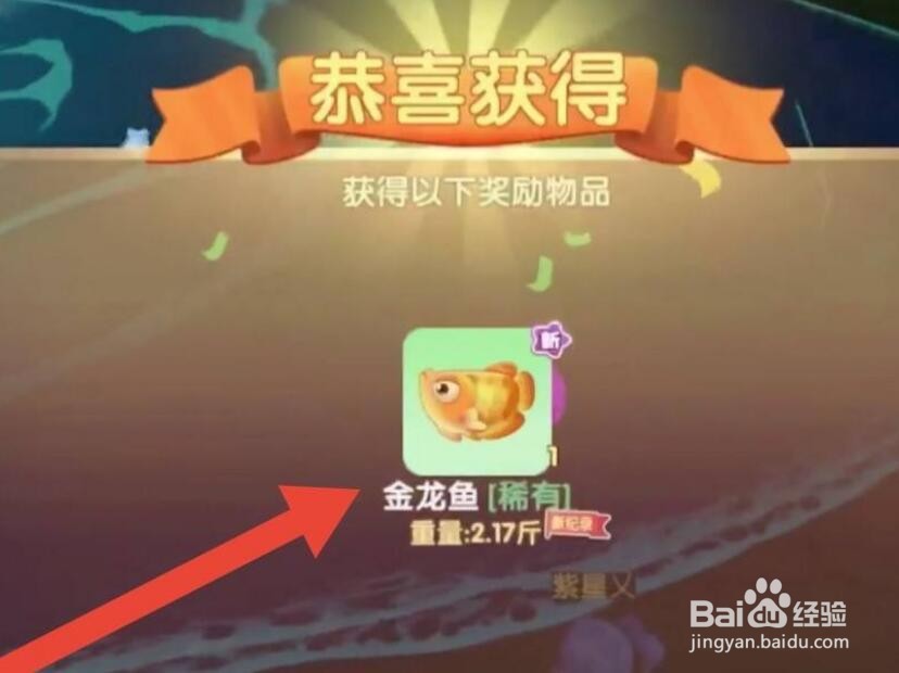 摩尔庄园金龙鱼在哪钓