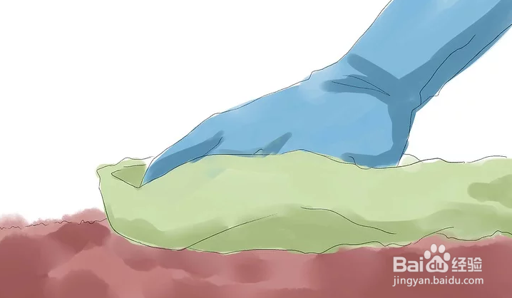 如何去除地毯上的油性漆