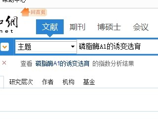 怎样利用关键词查询文献？