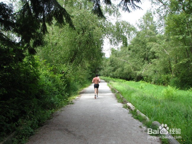 吃什么能解决便秘的问题?