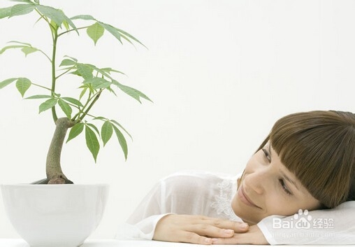 怎样改变我们的湿寒体质？