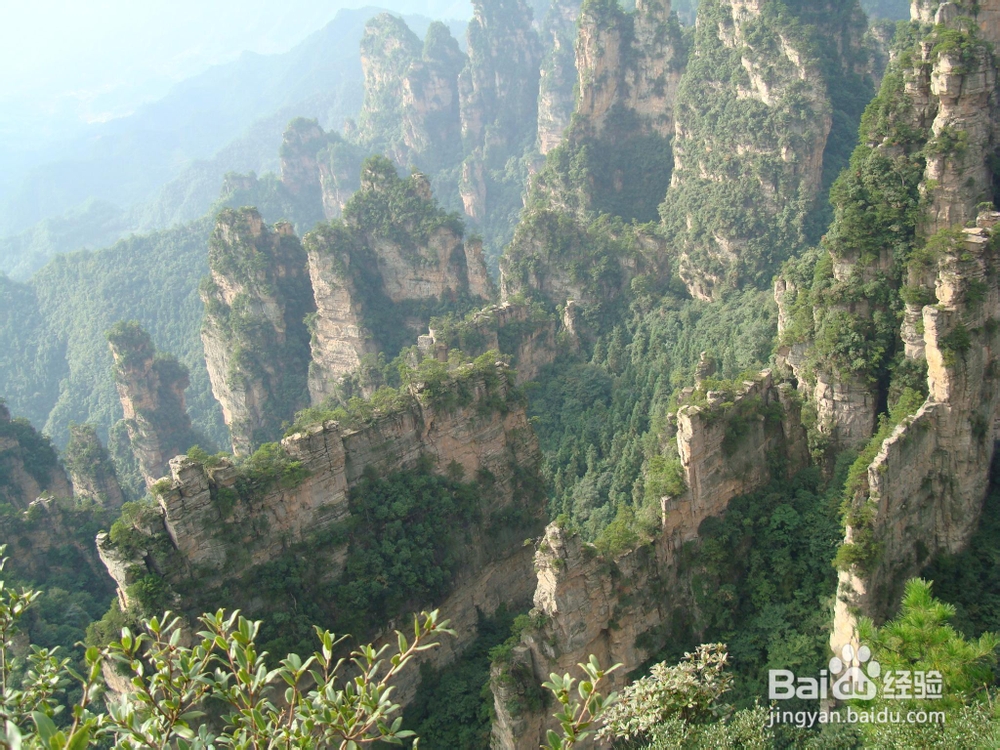 常德到张家界自助游攻略