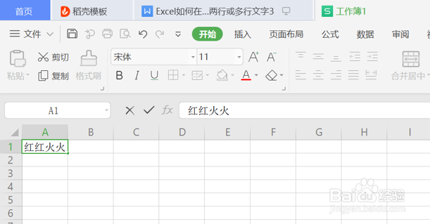 怎么在Excel的一个单元格内输入两行或多行文字